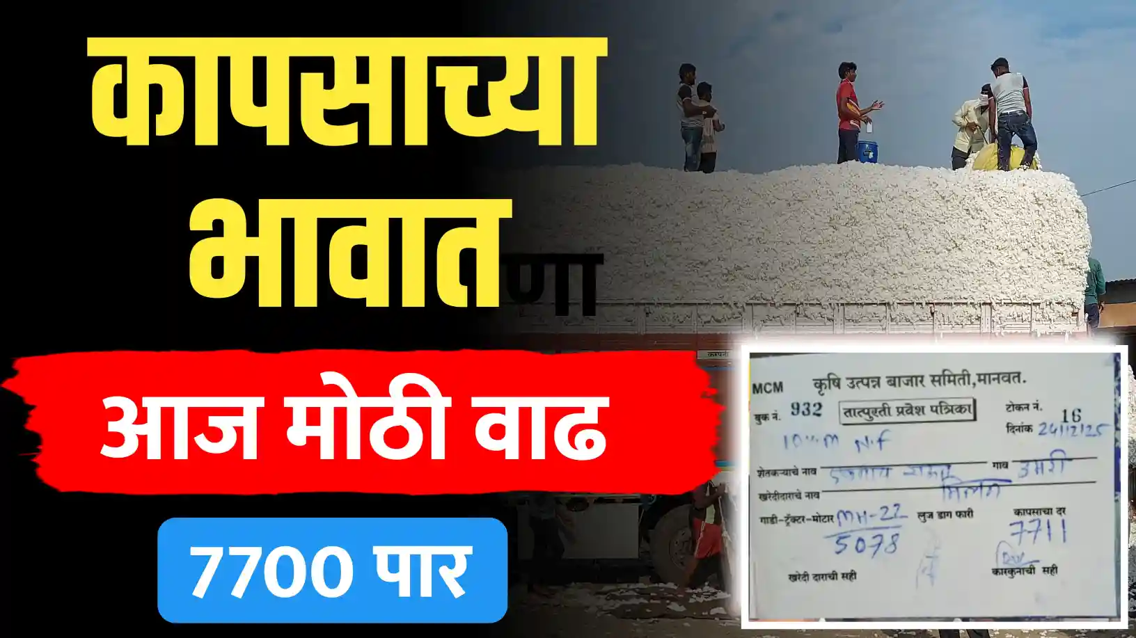 मानवतमध्ये कापसाच्या भावात